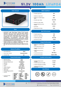 51.2V-100Ah LiFePO4